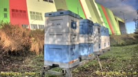 Miniaturka