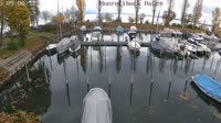 Rorschach - Port