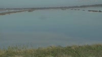 Lido degli Estensi - Saline di Comacchio