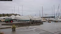 Concise - Port