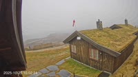 Ål - Bergsjø