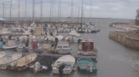 Livorno - Moletto Nazario Sauro