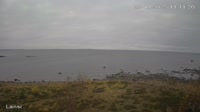 Kokkola - Krunni