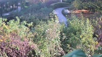Alnwick - Garden