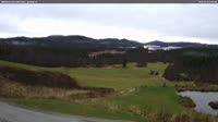 Beito - Grønolen
