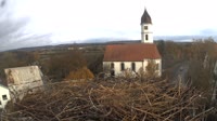 Gögglingen - Bociany