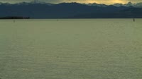 Friedrichshafen - Port