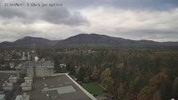Trzyniec - Jaworowy