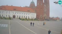 Miniaturka