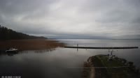 Vehendi - Jezioro Võrtsjärv