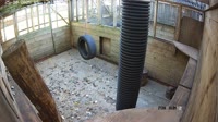 Leatherhead - Wildlife Aid Centre