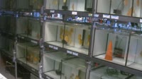 Neu Wulmstorf - Tienda de acuarios