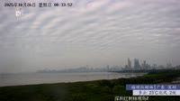 Shenzhen - Reserva natural de manglares de Futian