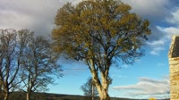 Greenhaugh - Tarset Valley