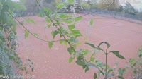 Kopenhaga - Kløvermarkens Tennis Klub