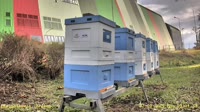 Miniaturka