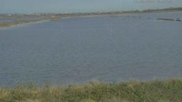 Lido degli Estensi - Saline di Comacchio