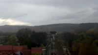 Gerstungen - Bociany