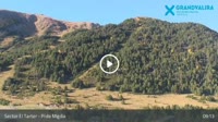 Grandvalira - El Tarter - Pi de Migdia