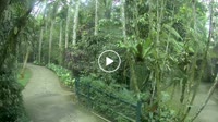 Bali - Elephant Safari Park