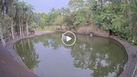 Bali - Elephant Safari Park