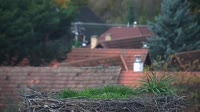 Liptowski Mikułasz - Demänová - Bociany