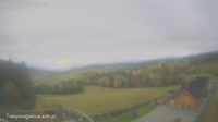 Zalesie - Mogielnica