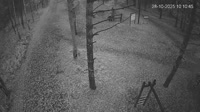 Parnawa - Sosnowy las Raeküla