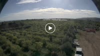 Villasmundo - Limonar