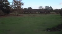Brockenhurst - Balmer Lawn Hotel