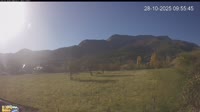 Fiscal - Camping El Jabali Blanco