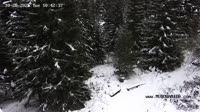 Hala Gąsienicowa - Schronisko Murowaniec