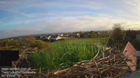 Mierzyn - Bociany