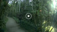 Bali - Elephant Safari Park
