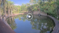 Bali - Elephant Safari Park