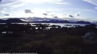 Guvåg