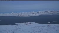 Spitsbergen - Ny-Ålesund