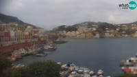 Ponza - Puerto