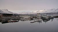 Djúpivogur - Puerto