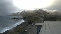 Macquarie Island