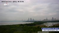 Shenzhen - Reserva natural de manglares de Futian