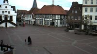 Lingen