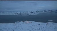 Spitsbergen - Ny-Ålesund
