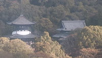 Iwade - Negoro Temple