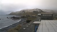 Macquarie Island