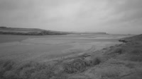 Rock - Camel Estuary