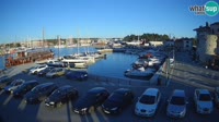 Novigrad - Porporela Marina