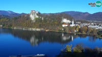 Bled - Lago de Bled