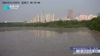 Shenzhen - Rezerwat Mangrowy Futian