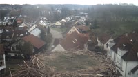Bad Waldsee - Storks